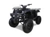 TAO_Motors_Bull150_3Q_black